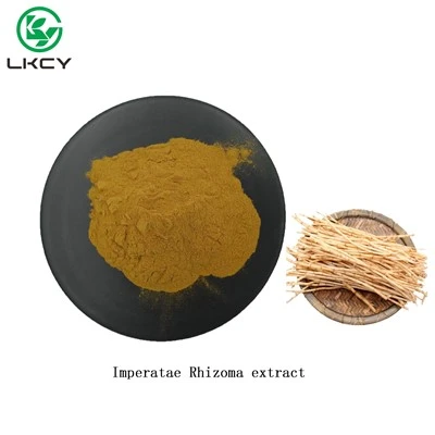 Imperatae Rhizoma 추출물
