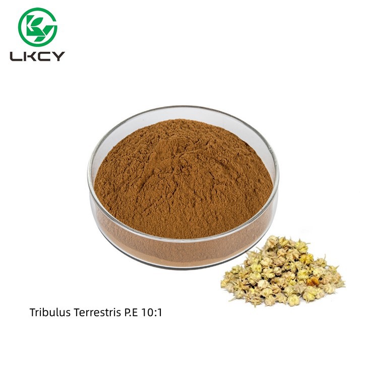Tribulus Terrestris P.E